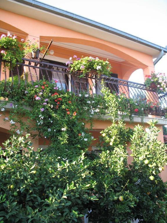 Apartments Ivanka Trogir Zewnętrze zdjęcie