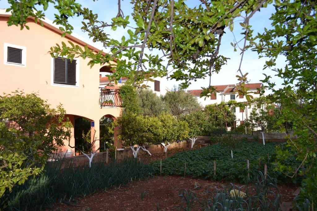 Apartments Ivanka Trogir Zewnętrze zdjęcie